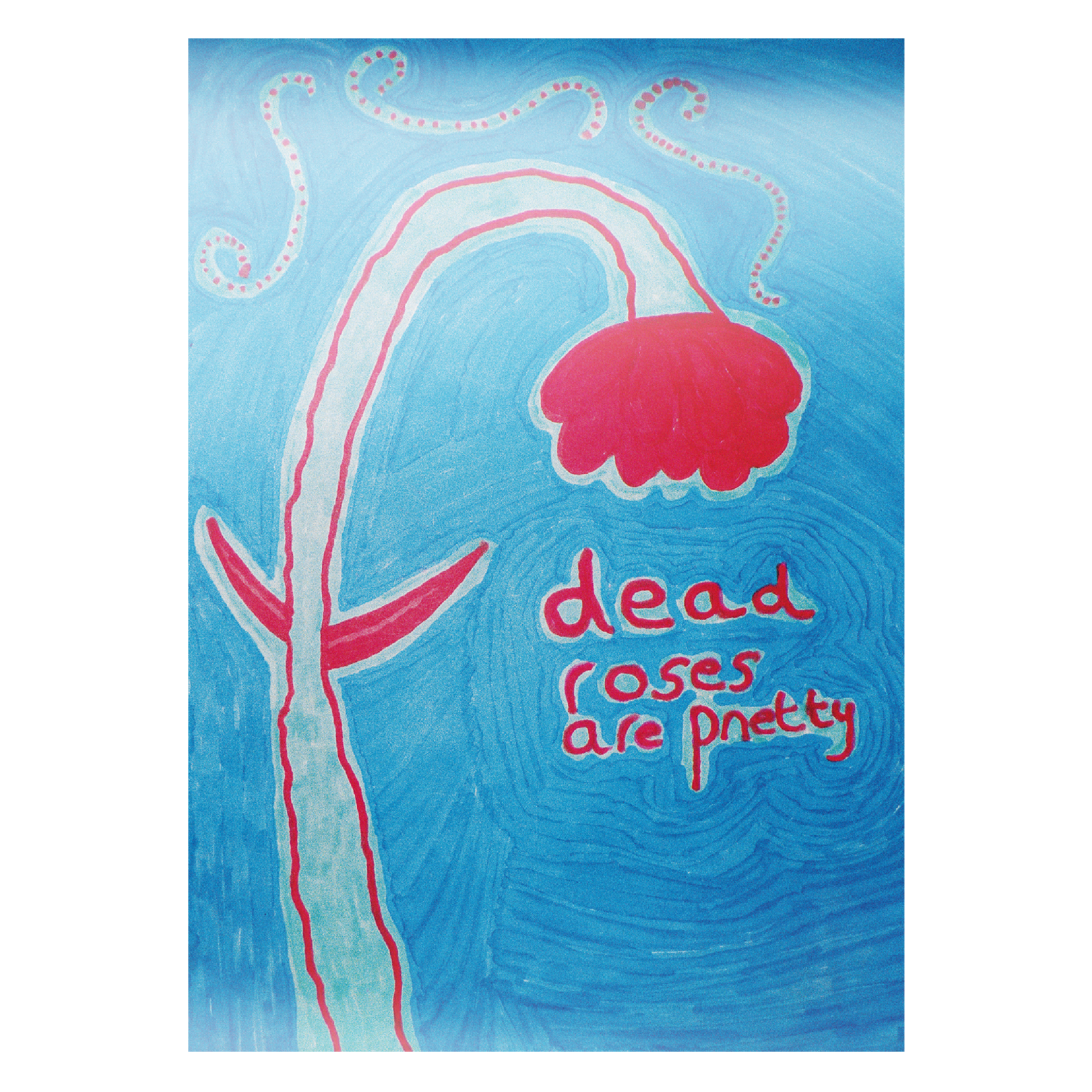 Dead roses are pretty