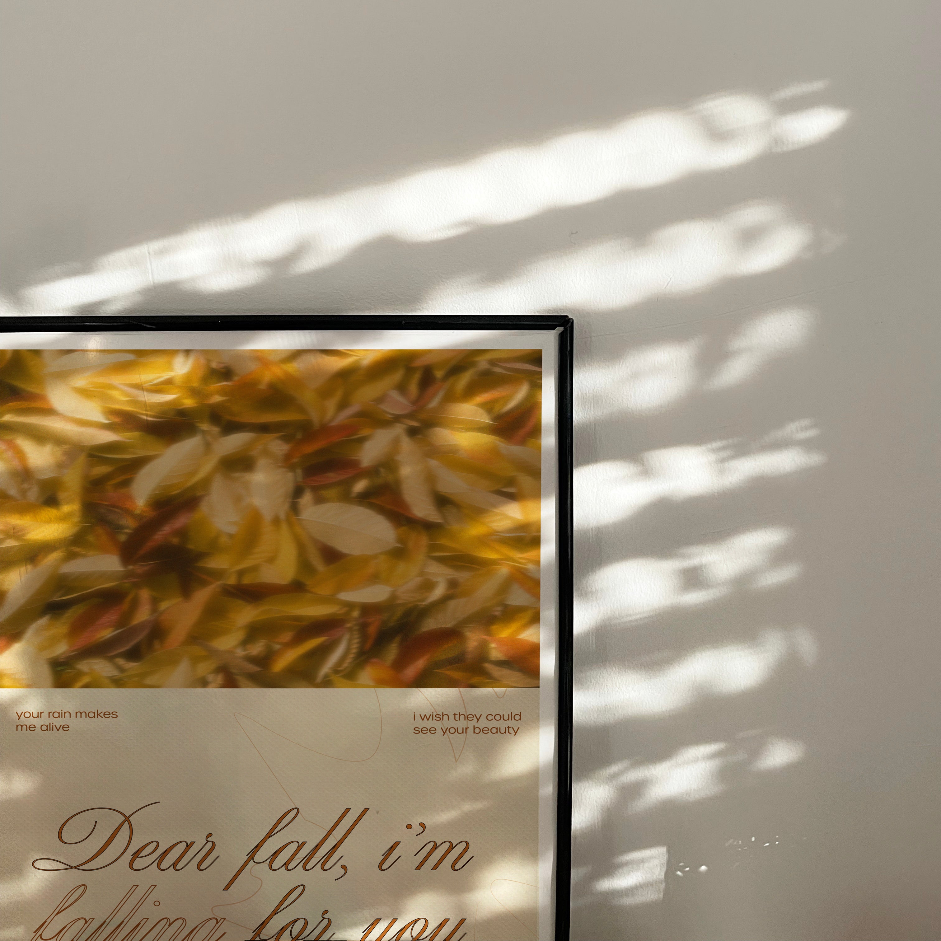 Dear fall
